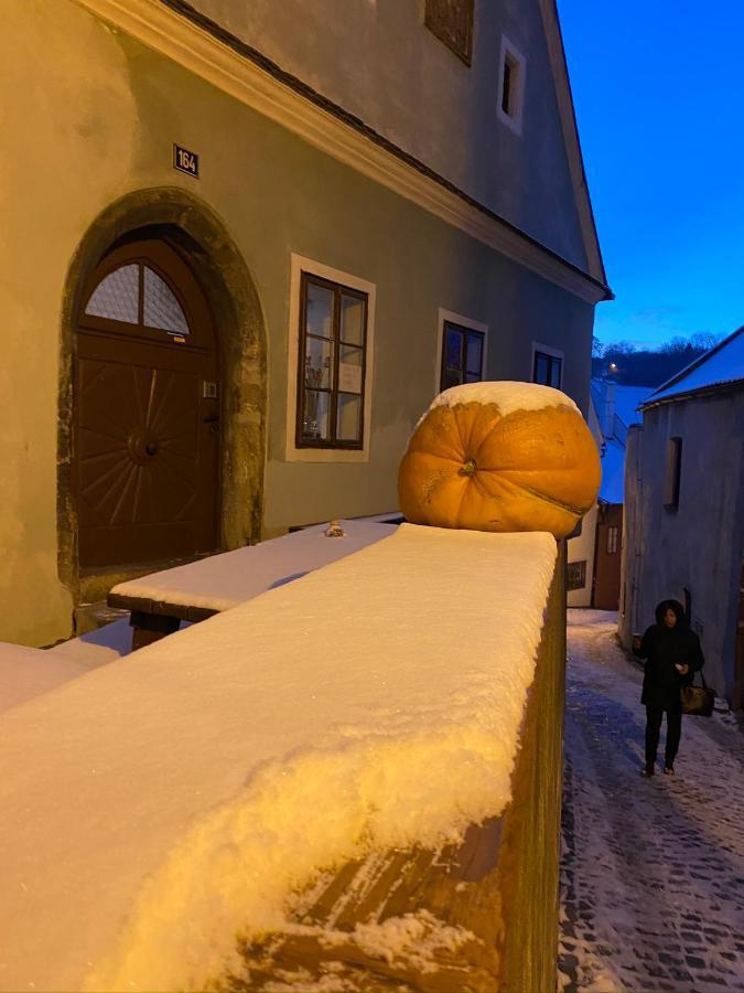 Cesky Krumlov Centrum Ap 6 ภายนอก รูปภาพ